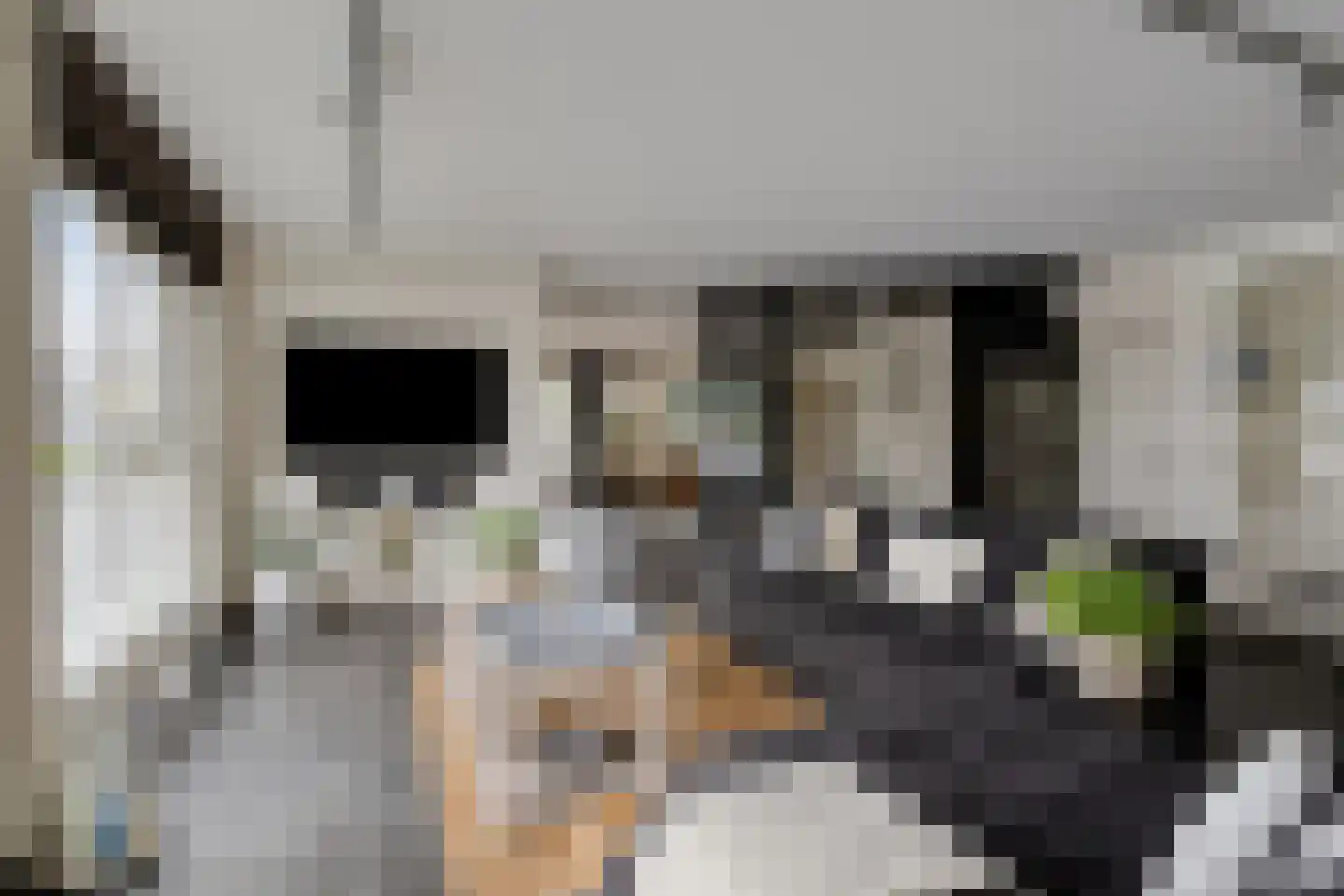 Pluuthaven 32 Zeewolde thumbnail 16