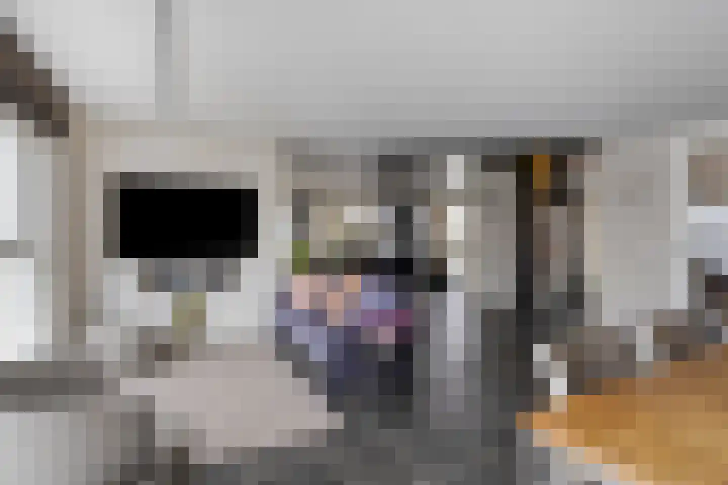 Pluuthaven 32 Zeewolde thumbnail 18