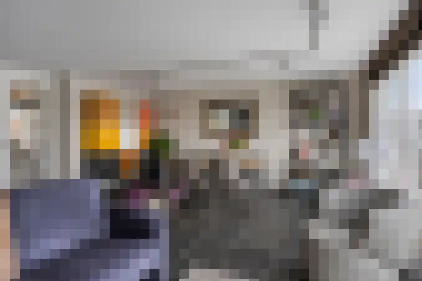 Pluuthaven 32 Zeewolde thumbnail 19