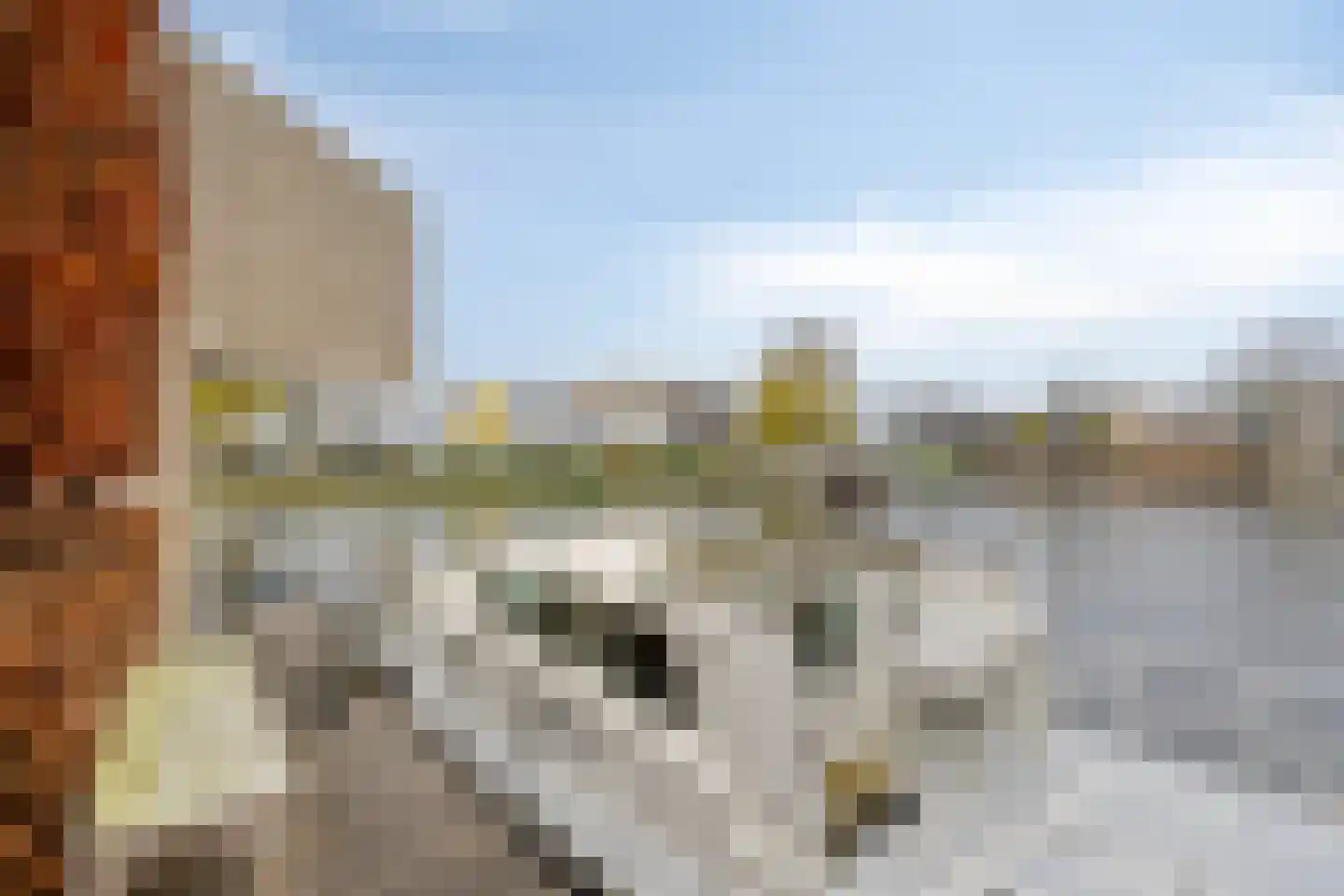 Pluuthaven 32 Zeewolde thumbnail 48