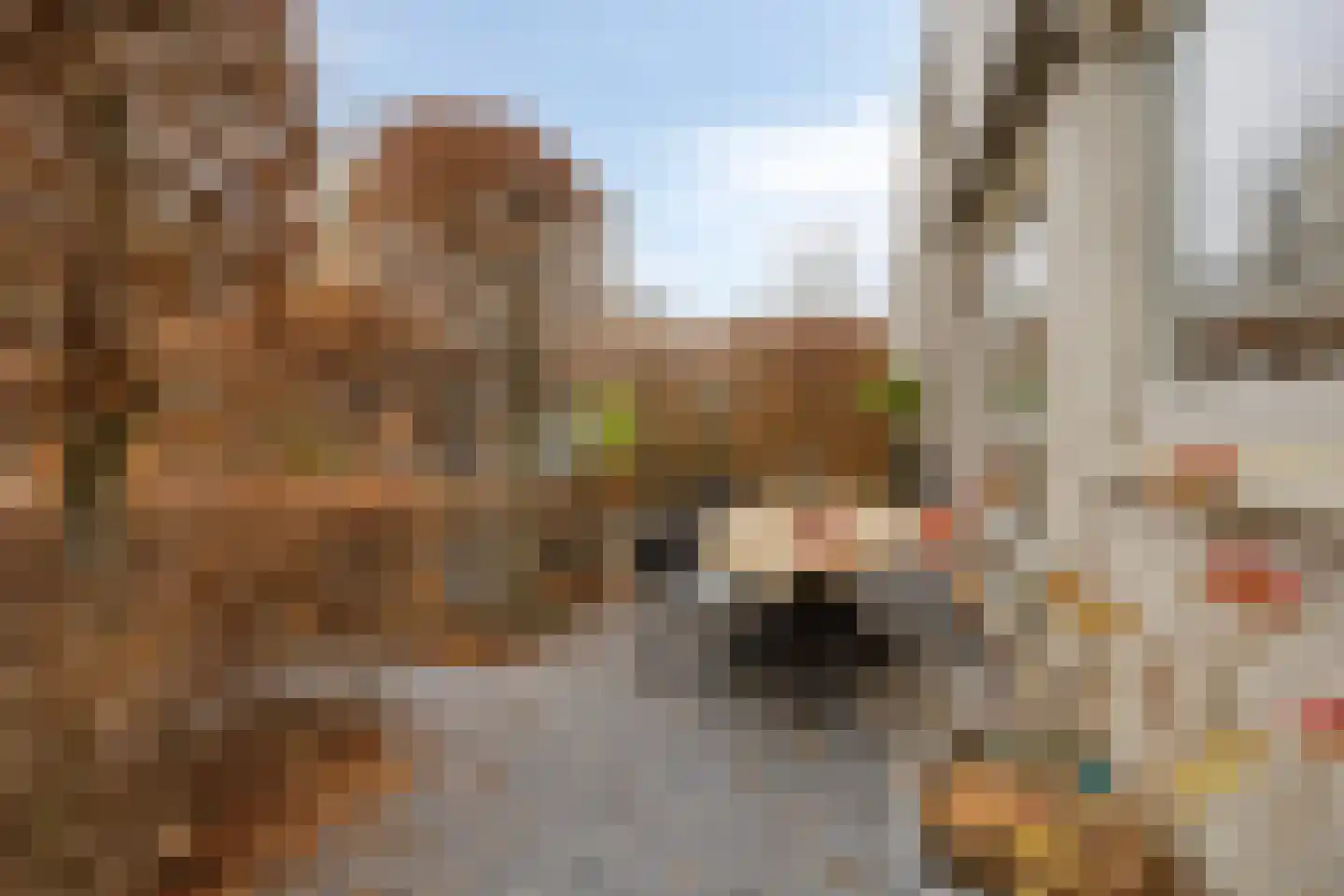 Pluuthaven 32 Zeewolde thumbnail 54