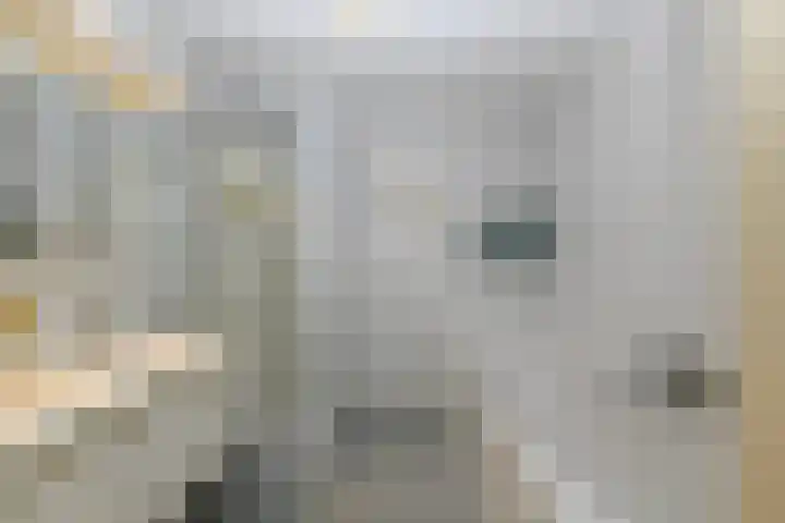 Pluuthaven 64 Zeewolde thumbnail 27