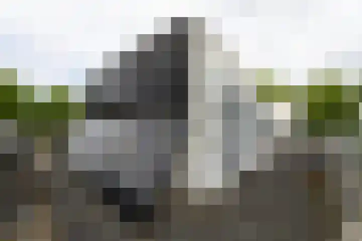 Pluuthaven 64 Zeewolde thumbnail 34