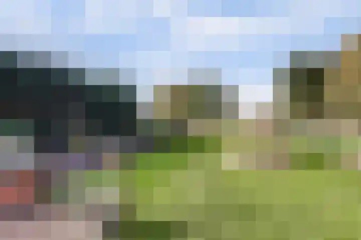 Pluuthaven 64 Zeewolde thumbnail 50