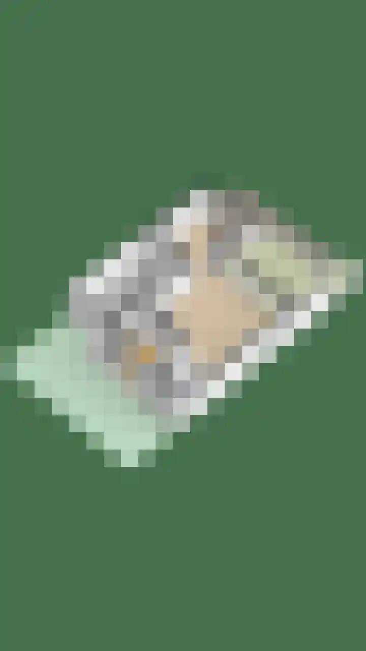 Pluuthaven 64 Zeewolde thumbnail 54