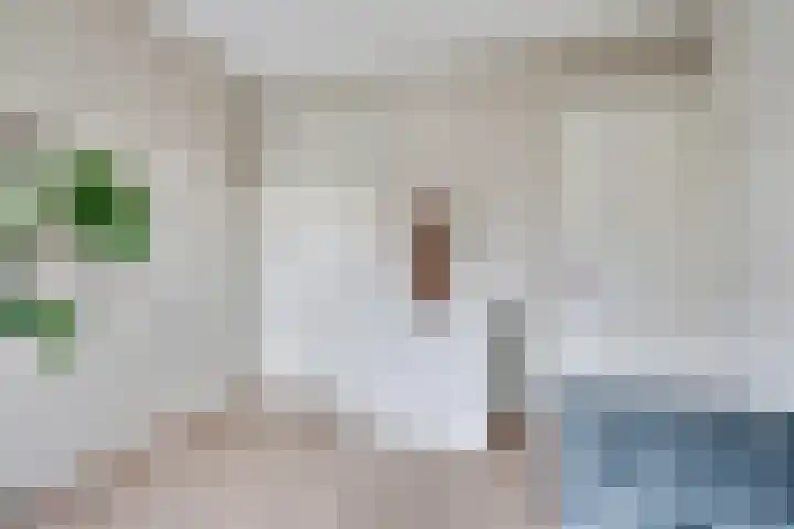 Pluuthaven 64 Zeewolde thumbnail 6