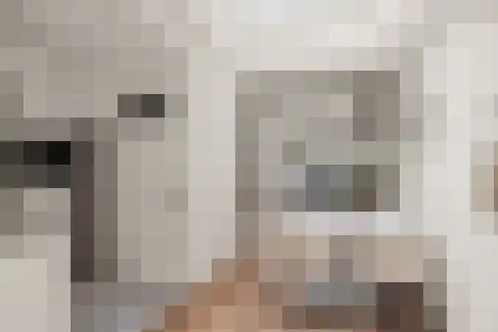 Pluuthaven 64 Zeewolde thumbnail 7