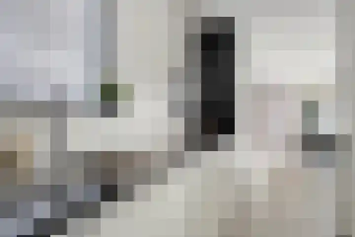 Pluuthaven 8 Zeewolde thumbnail 17