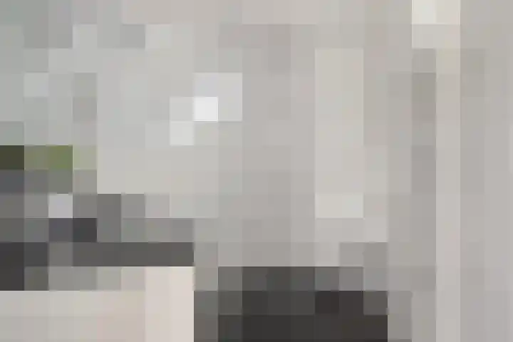 Pluuthaven 8 Zeewolde thumbnail 26