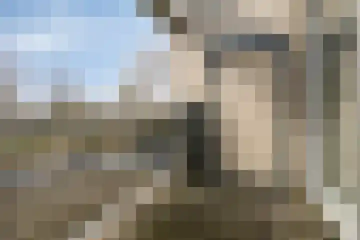Pluuthaven 8 Zeewolde thumbnail 31