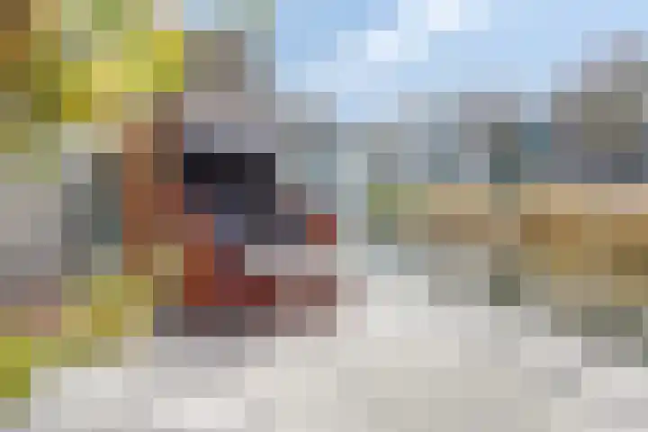 Pluuthaven 8 Zeewolde thumbnail 42