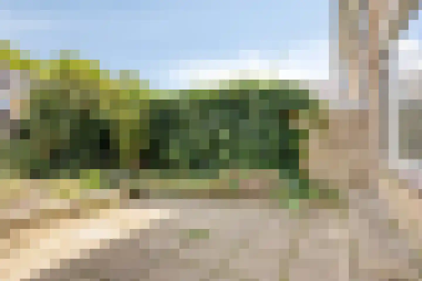 Pluutmeen 6 Harderwijk thumbnail 29