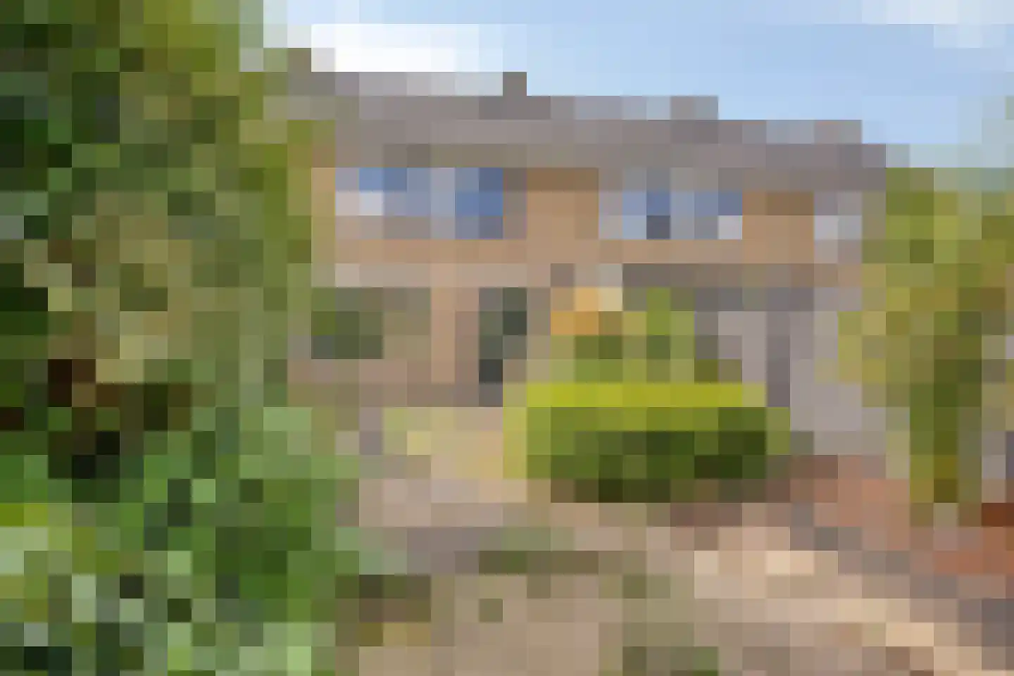 Pluutmeen 6 Harderwijk thumbnail 32