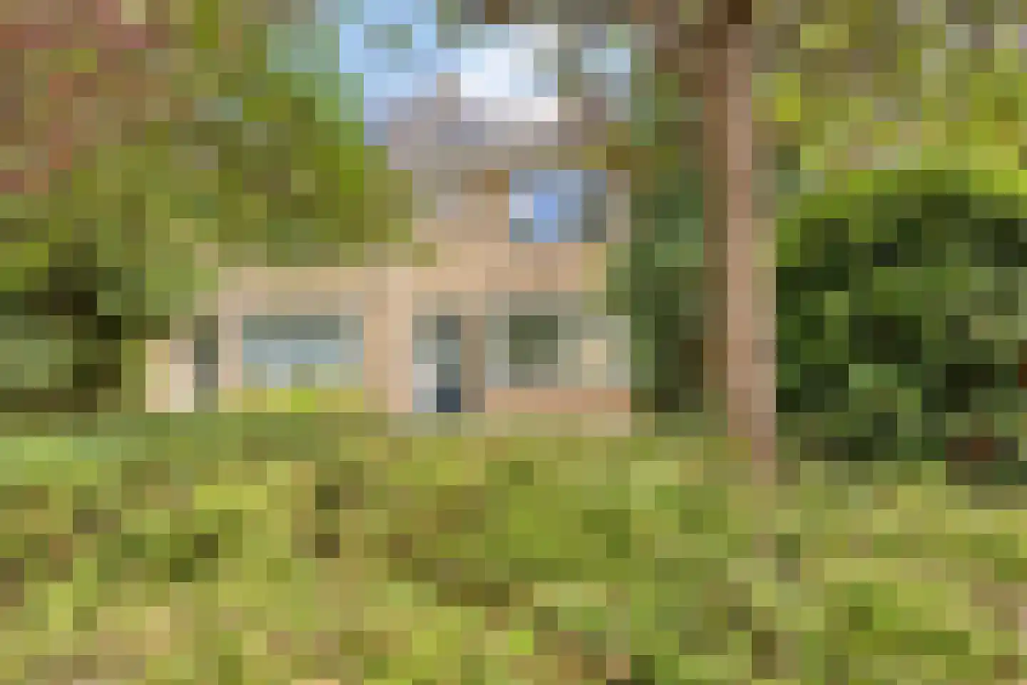 Pluutmeen 6 Harderwijk thumbnail 35