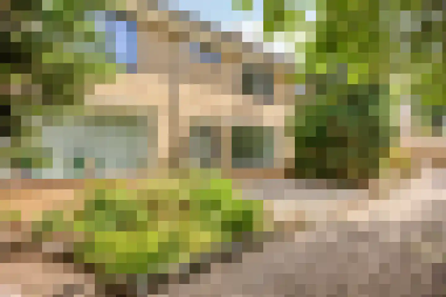 Pluutmeen 6 Harderwijk thumbnail 36
