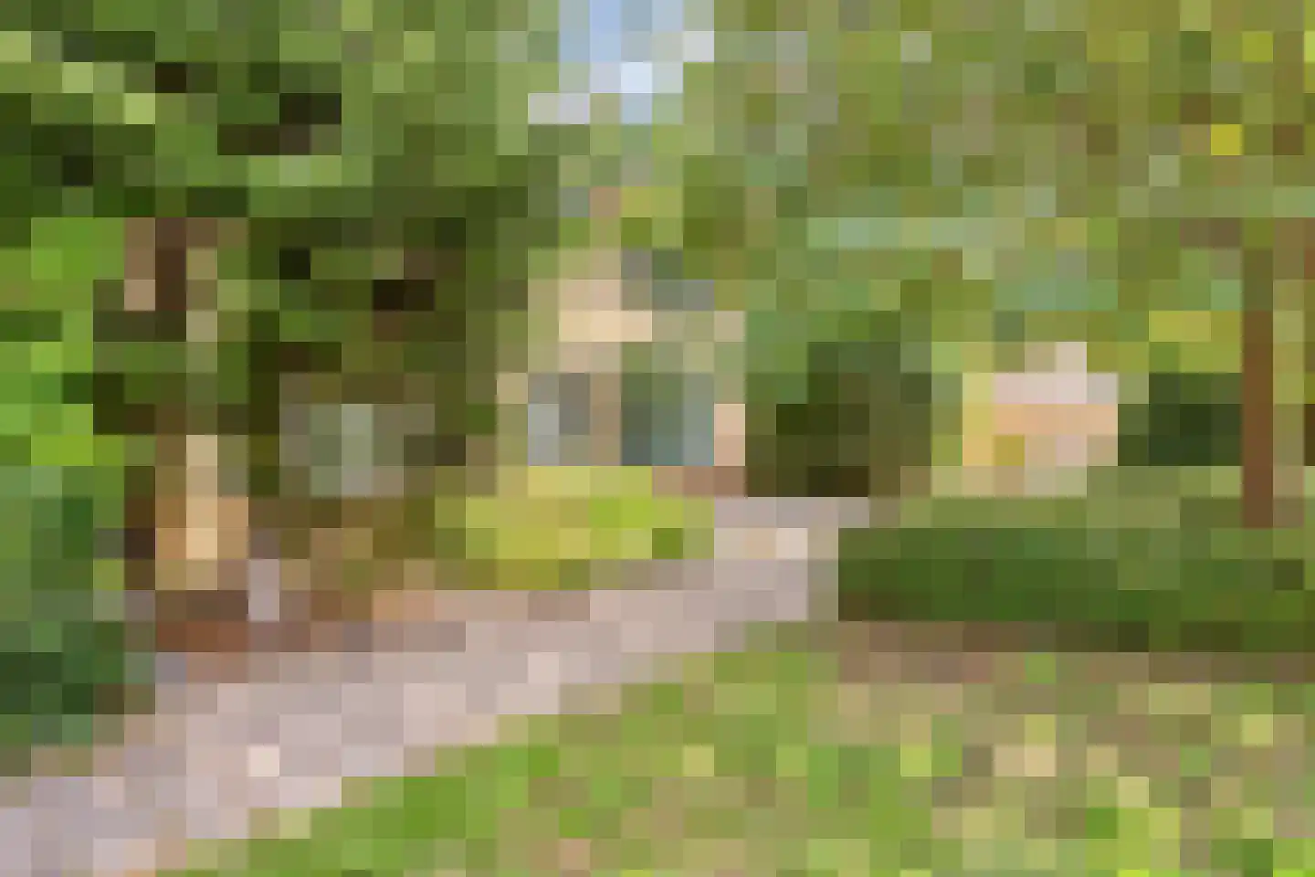 Pluutmeen 6 Harderwijk thumbnail 37