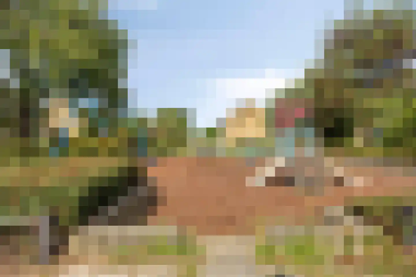 Pluutmeen 6 Harderwijk thumbnail 38