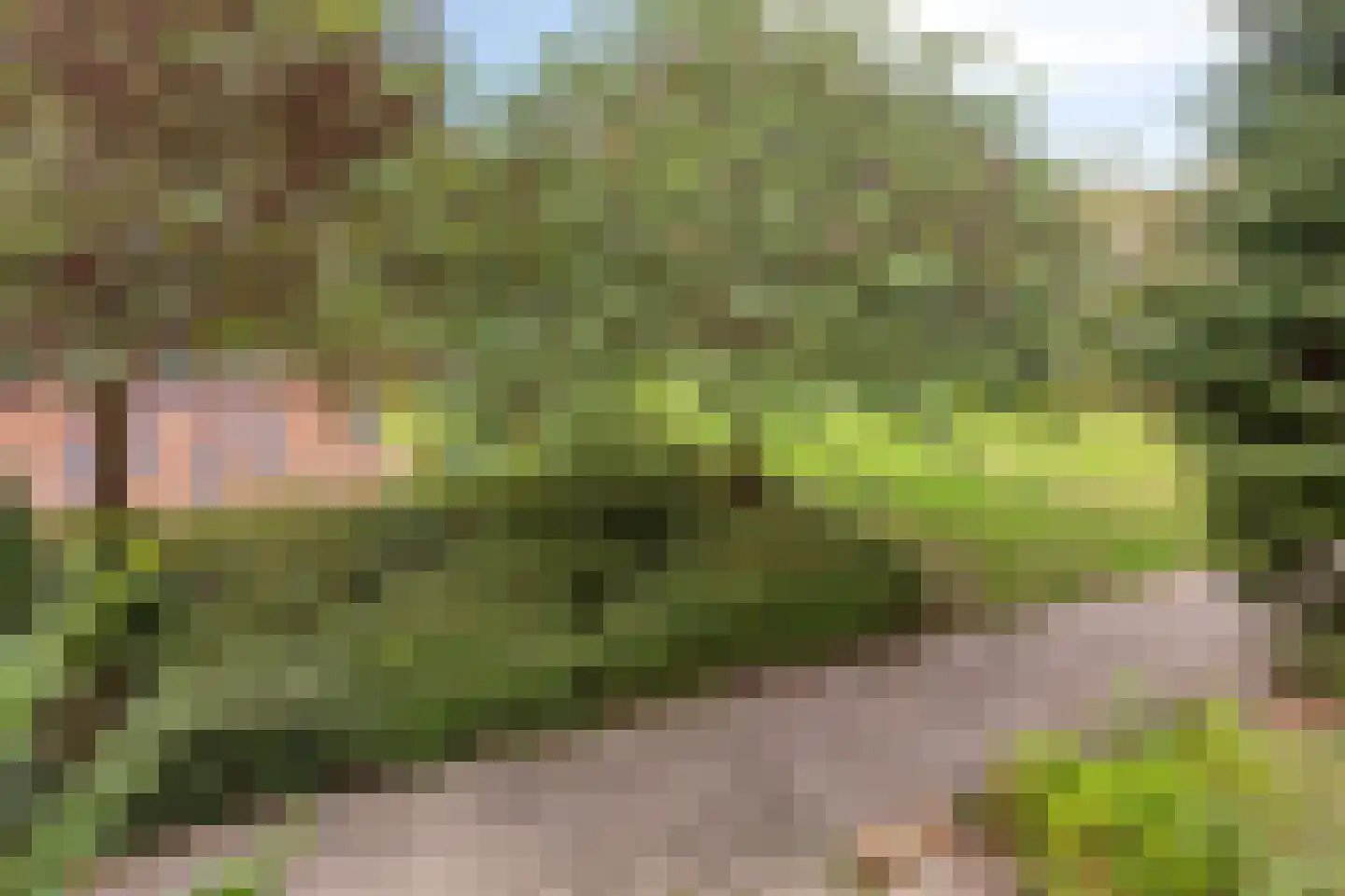 Pluutmeen 6 Harderwijk thumbnail 39
