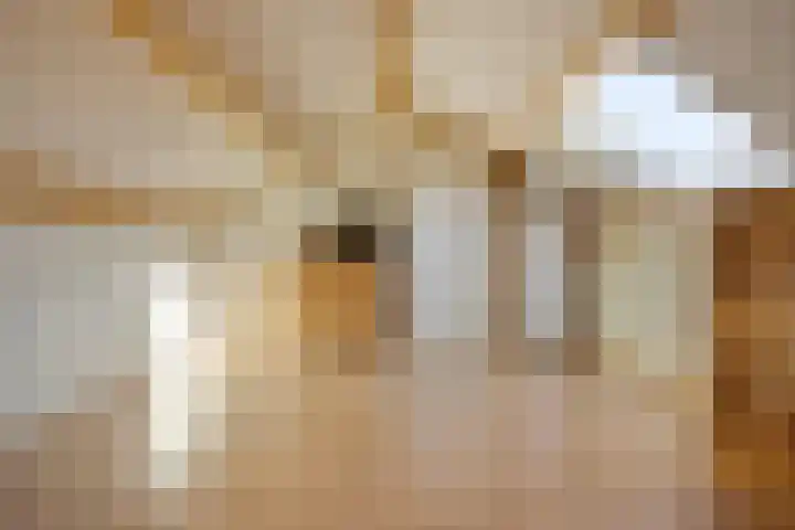 Pluutstraat 112 Elburg thumbnail 27