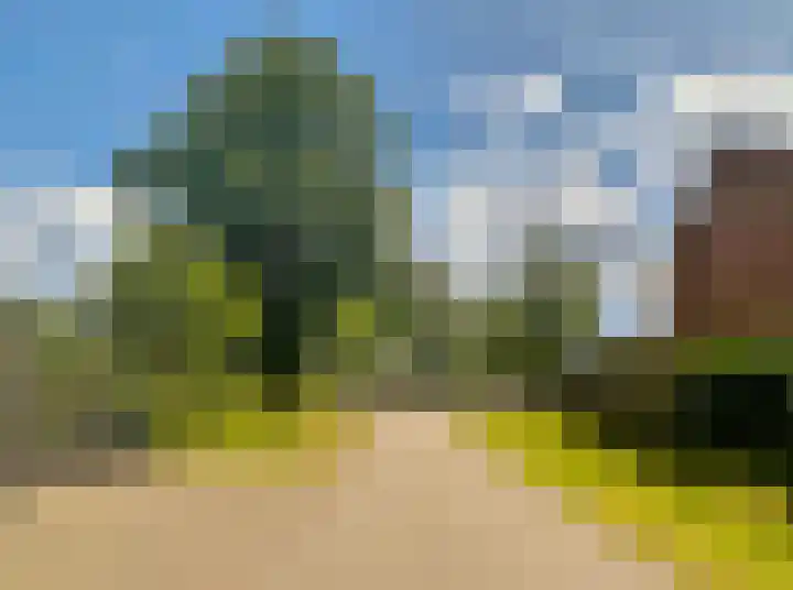 Pluutstraat 130 Elburg foto 3