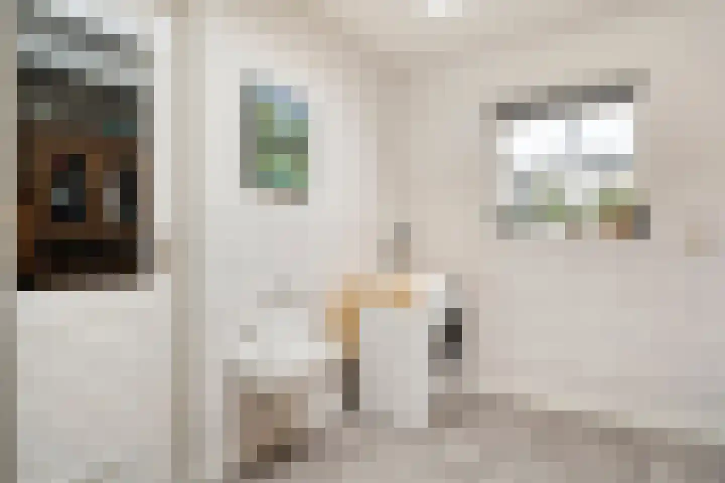 Pluutstraat 166 Elburg thumbnail 39