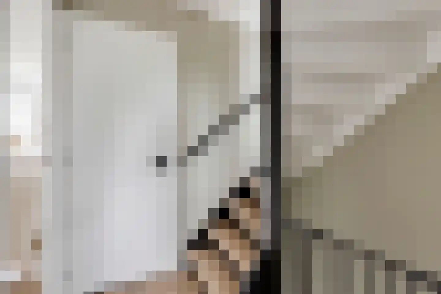 Pluutstraat 22 Elburg thumbnail 37