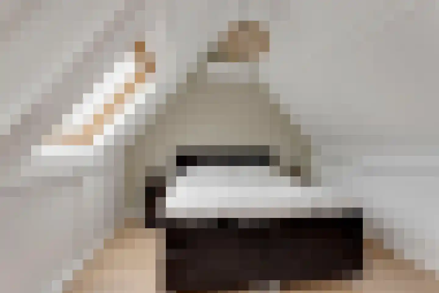Pluutstraat 22 Elburg thumbnail 38