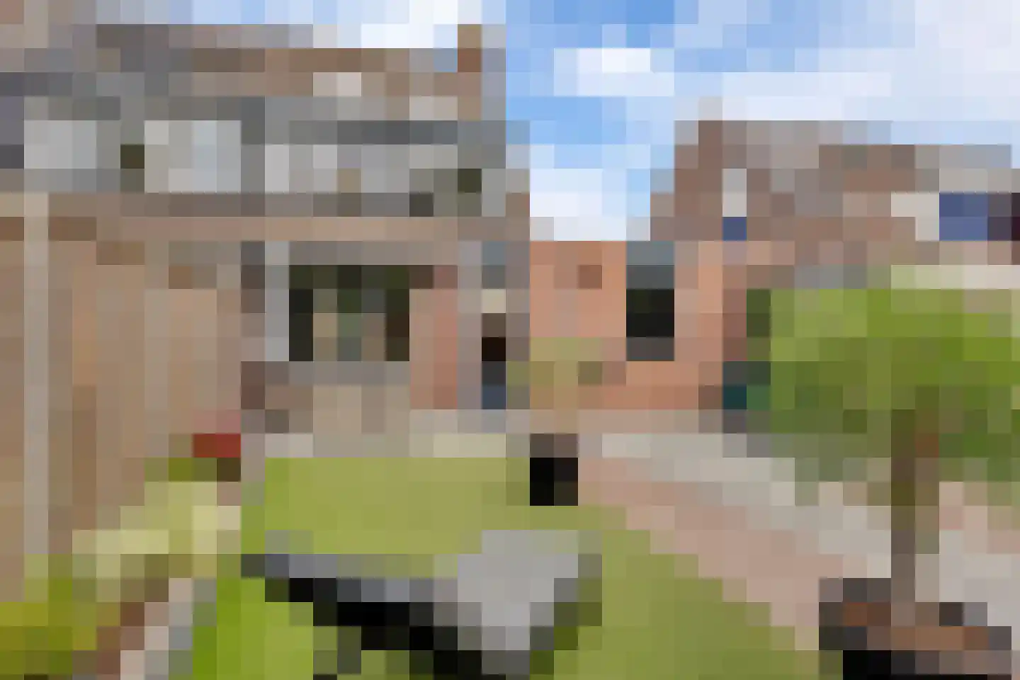 Pluutstraat 22 Elburg thumbnail 50