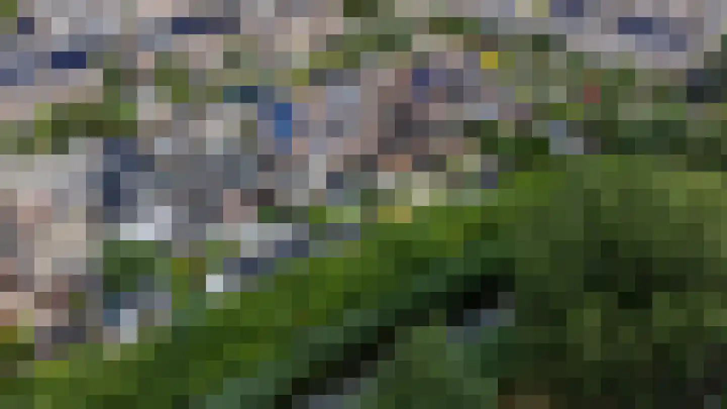 Pluutstraat 22 Elburg thumbnail 64
