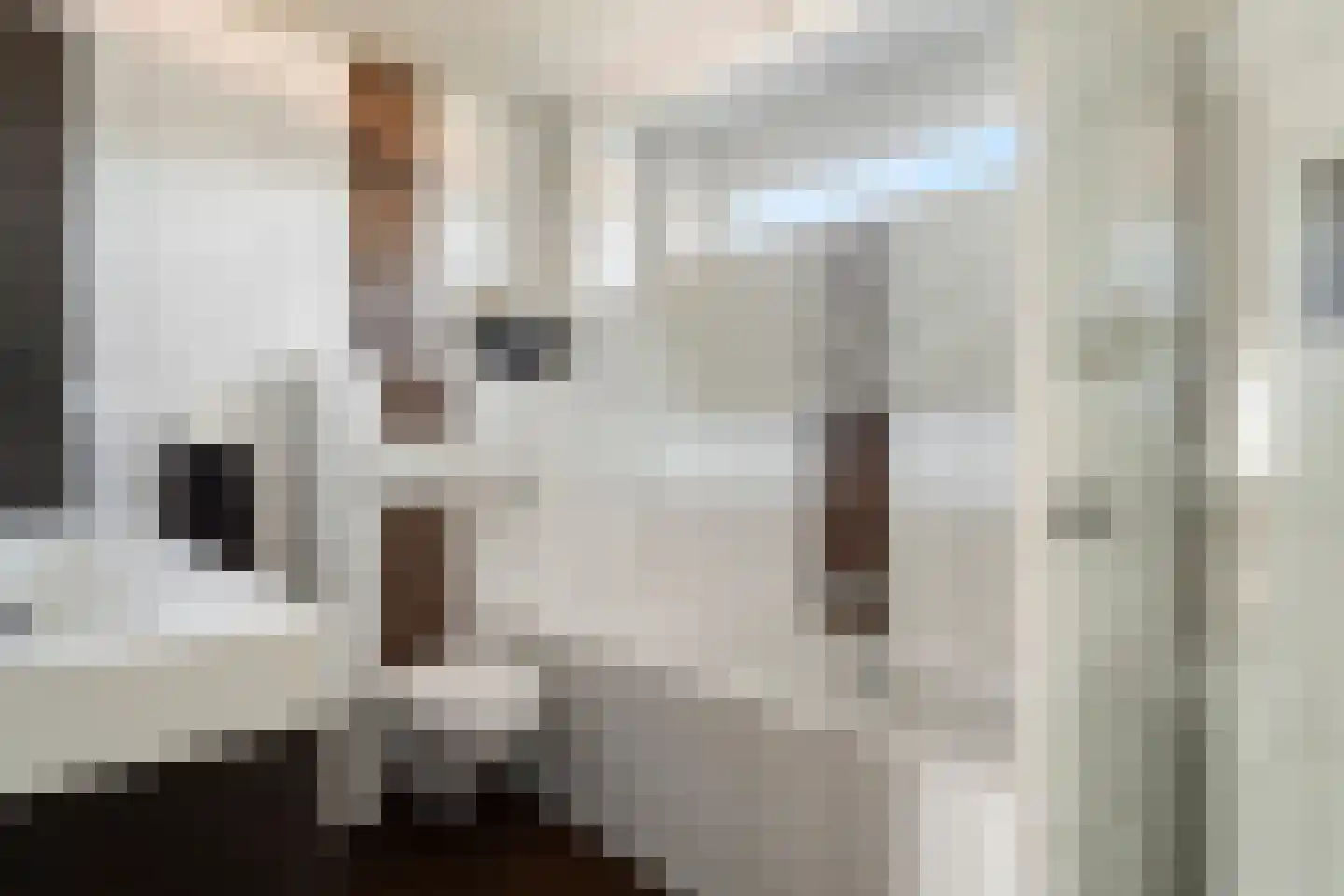 Pluutstraat 44 Elburg thumbnail 28