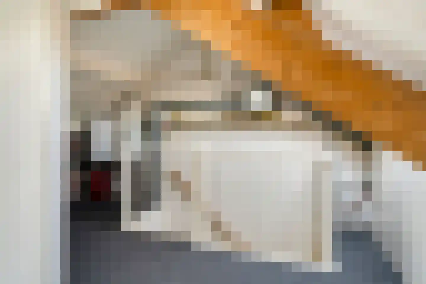 Pluutstraat 44 Elburg thumbnail 30