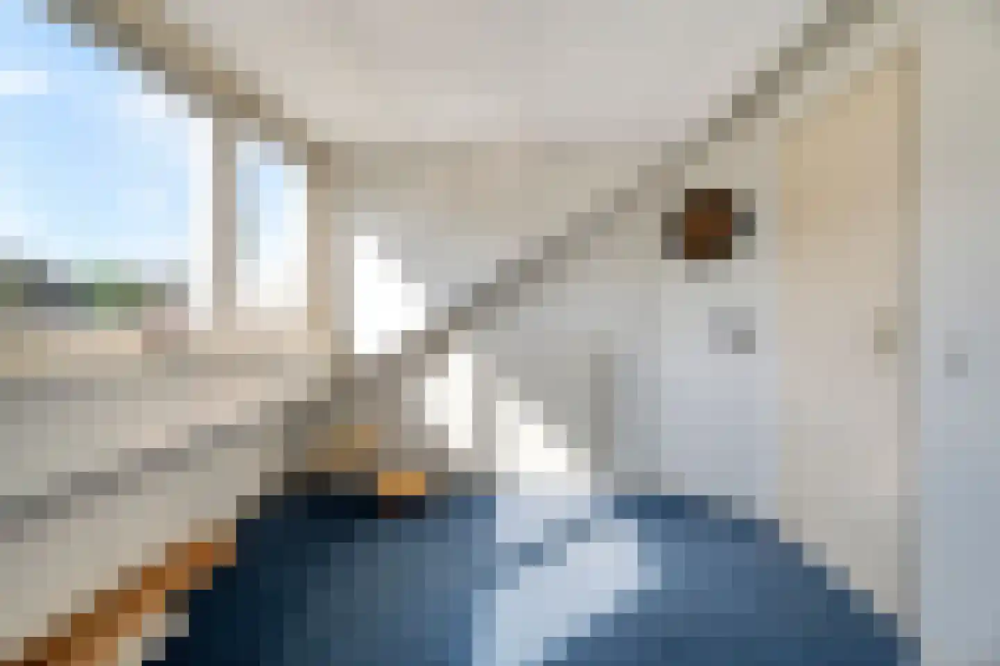 Pluutstraat 44 Elburg thumbnail 32