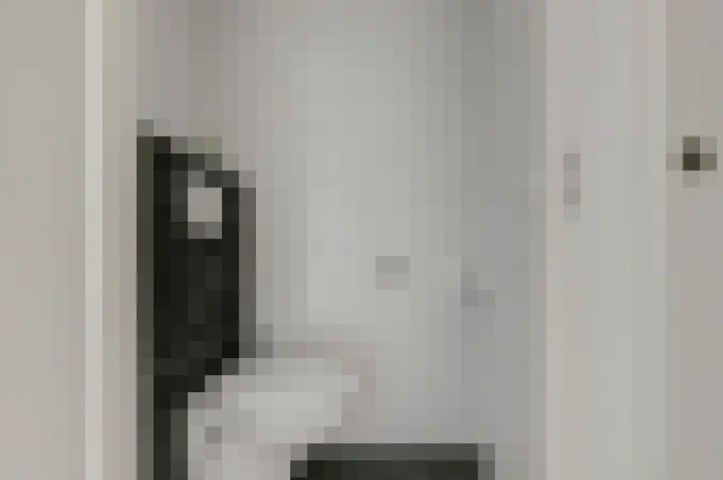 Pluutwerf 12 Gouda thumbnail 10
