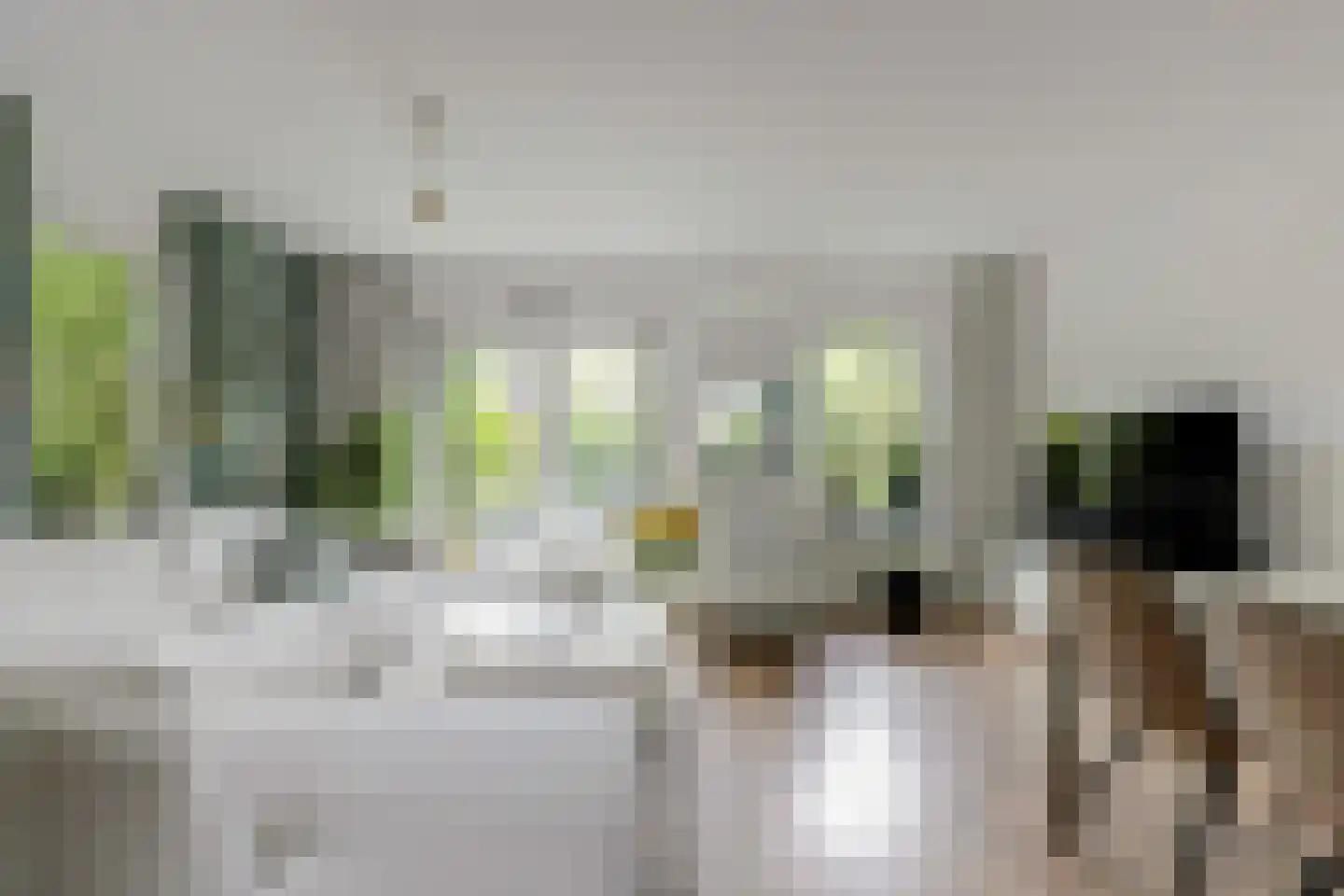 Pluutwerf 12 Gouda thumbnail 11