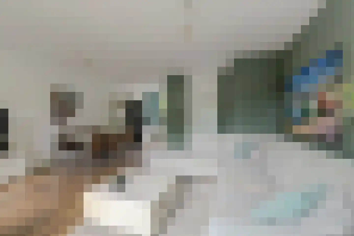 Pluutwerf 12 Gouda thumbnail 13