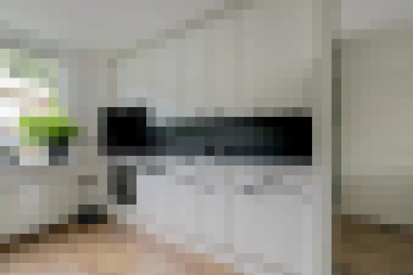Pluutwerf 12 Gouda thumbnail 17