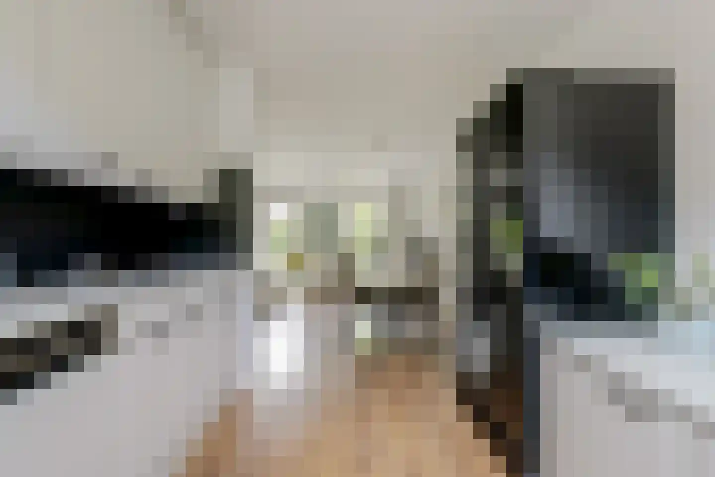 Pluutwerf 12 Gouda thumbnail 18