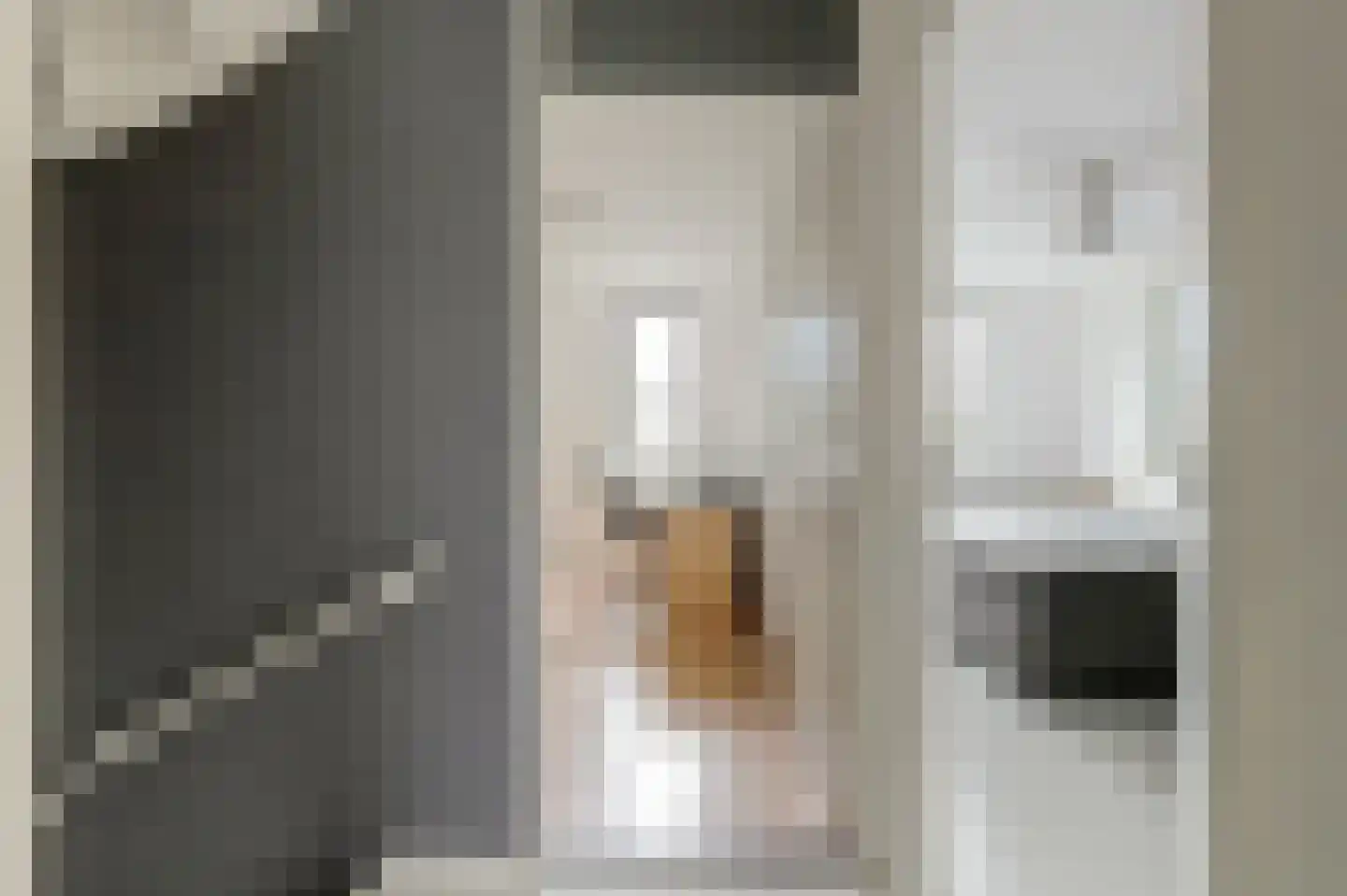 Pluutwerf 12 Gouda thumbnail 21