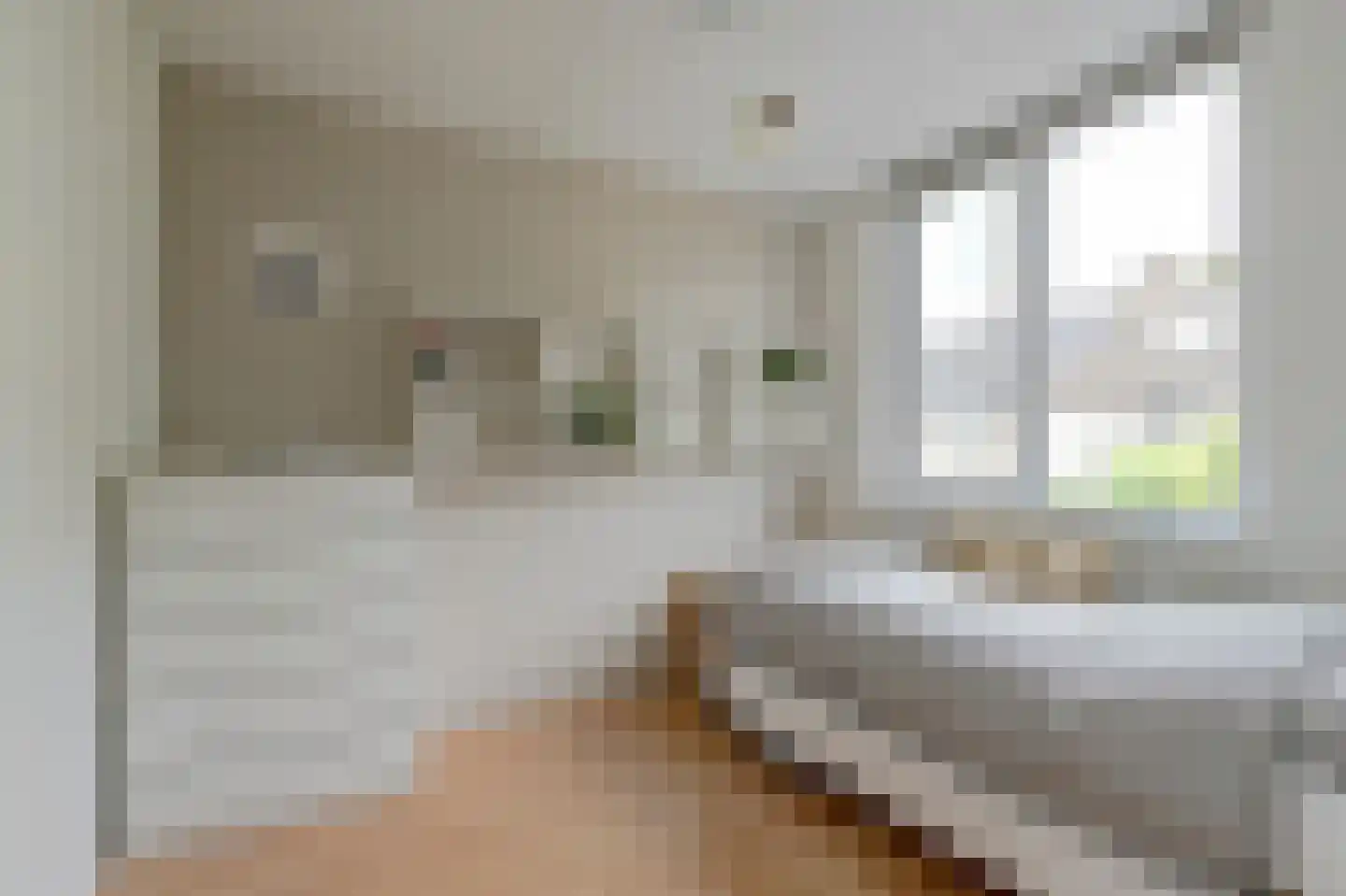 Pluutwerf 12 Gouda thumbnail 25