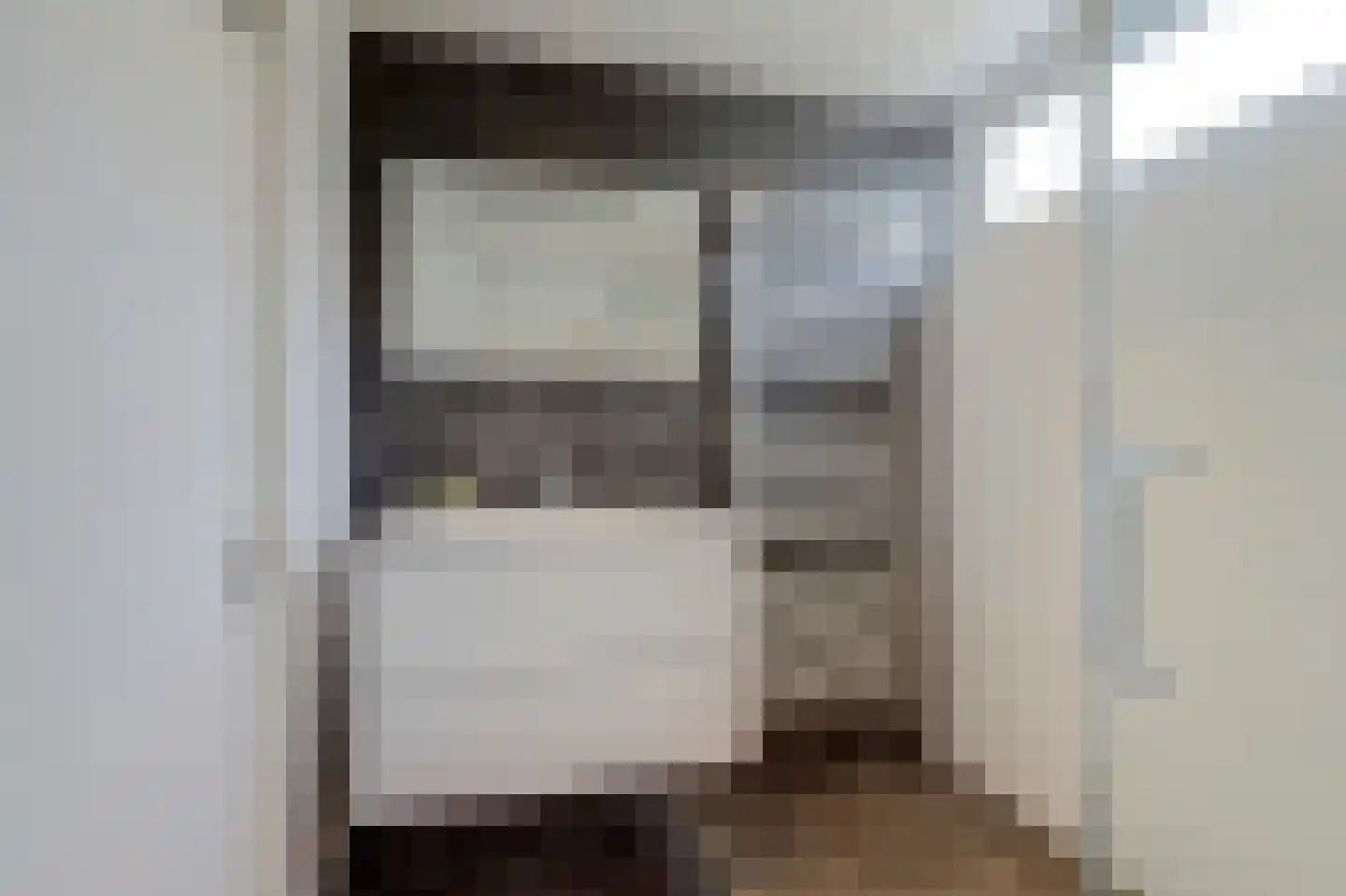 Pluutwerf 12 Gouda thumbnail 27