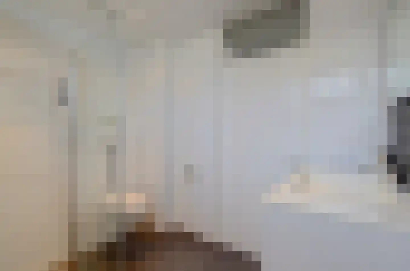 Pluutwerf 12 Gouda thumbnail 28