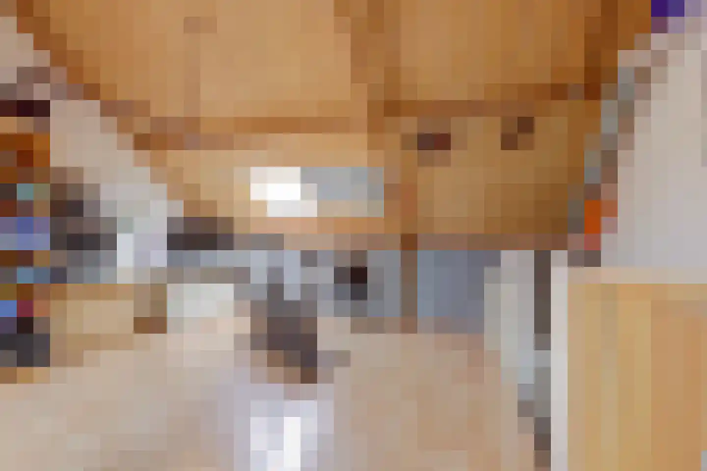 Pluutwerf 12 Gouda thumbnail 30