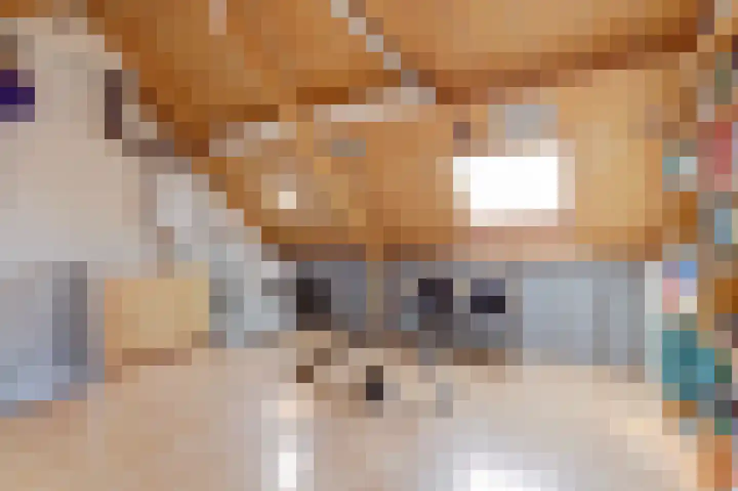 Pluutwerf 12 Gouda thumbnail 31