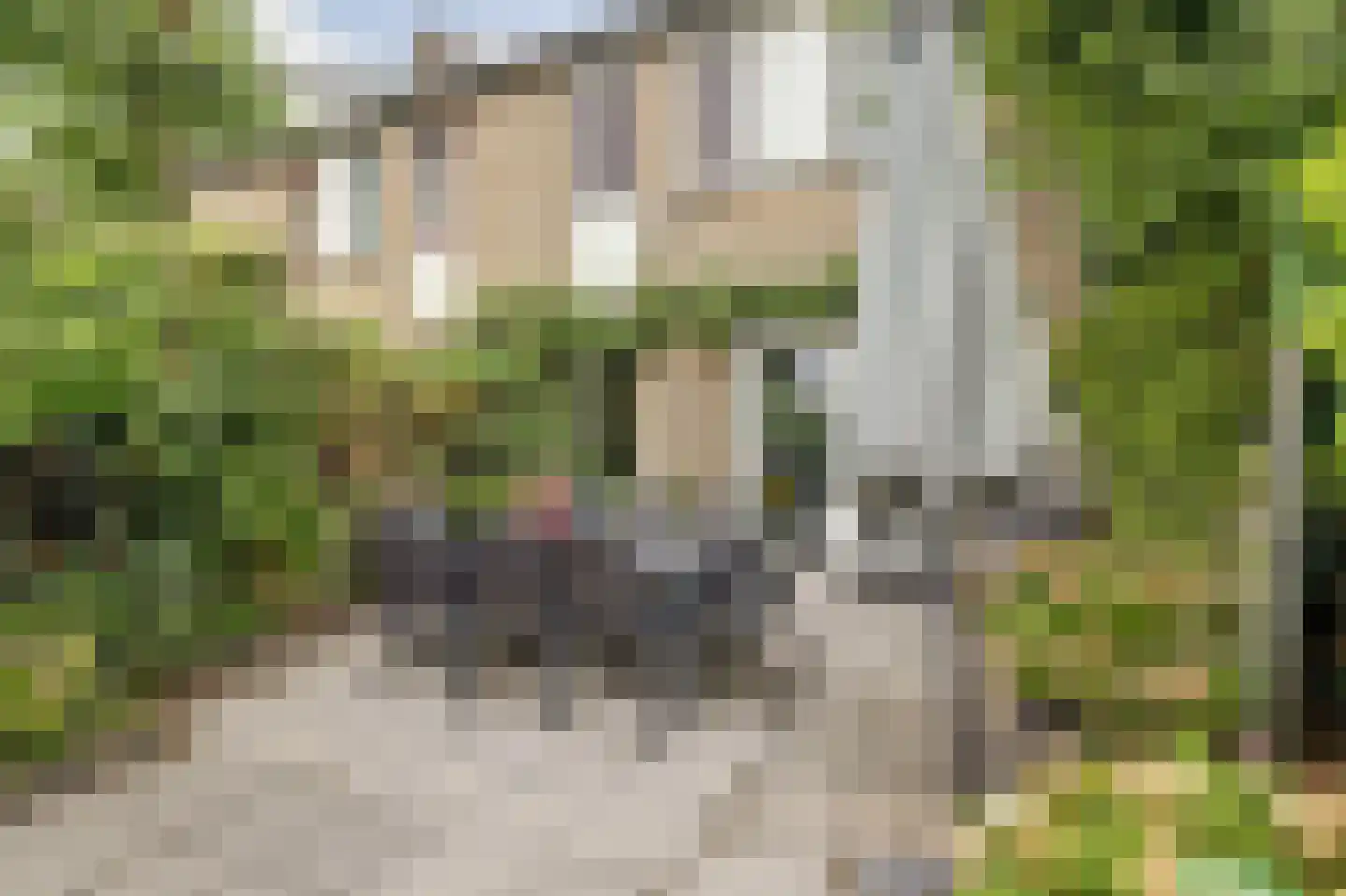 Pluutwerf 12 Gouda thumbnail 33