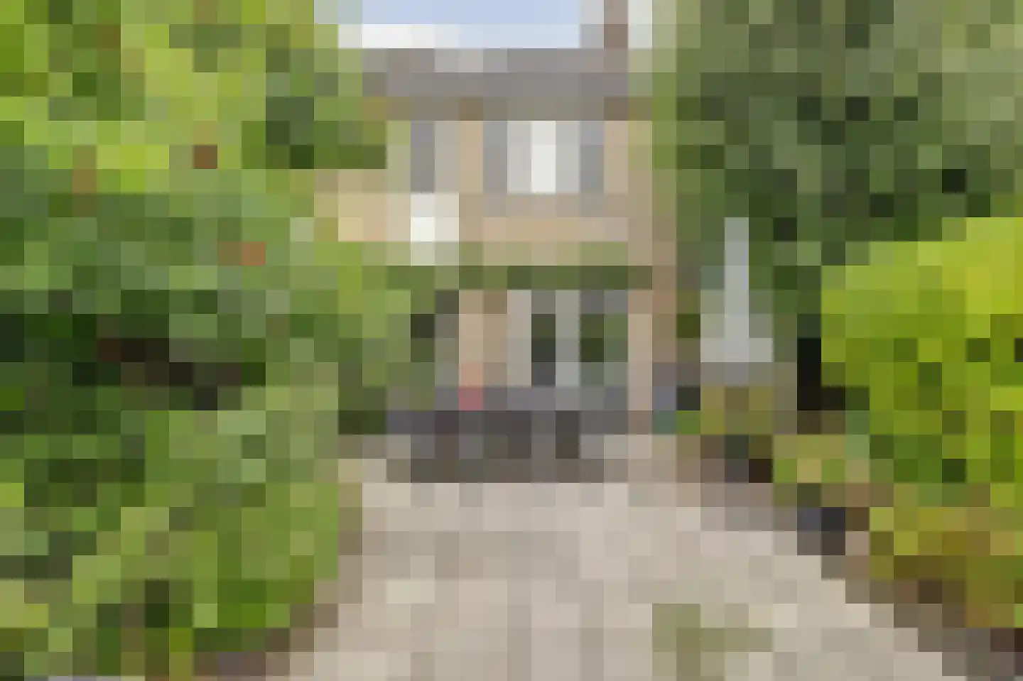 Pluutwerf 12 Gouda thumbnail 34