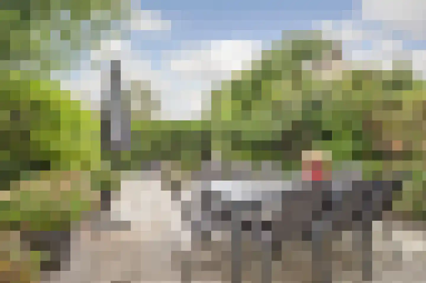 Pluutwerf 12 Gouda thumbnail 35