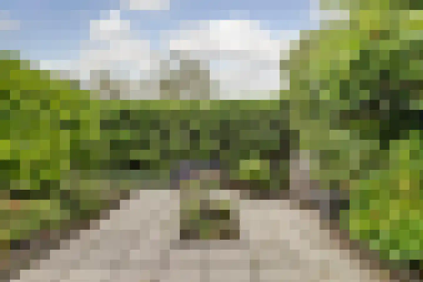Pluutwerf 12 Gouda thumbnail 36