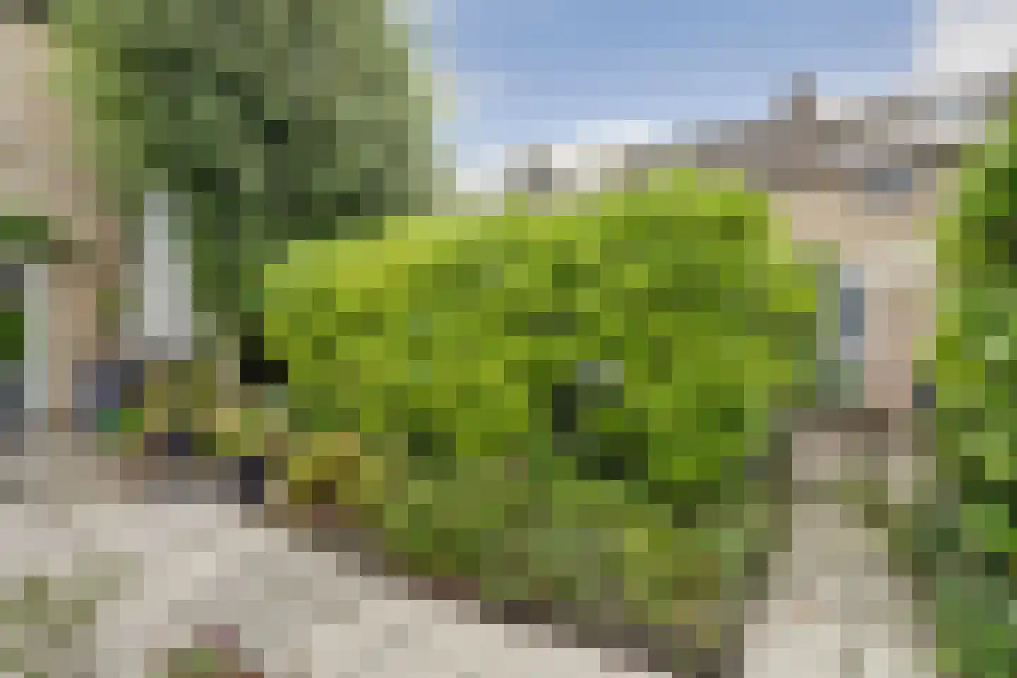 Pluutwerf 12 Gouda thumbnail 37