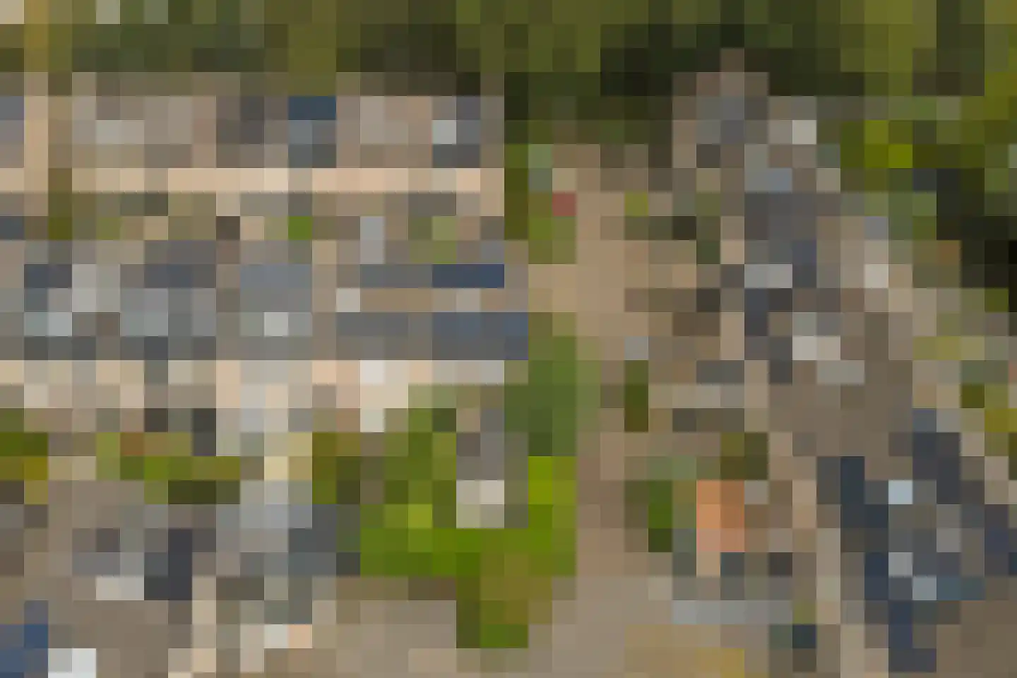 Pluutwerf 12 Gouda thumbnail 40