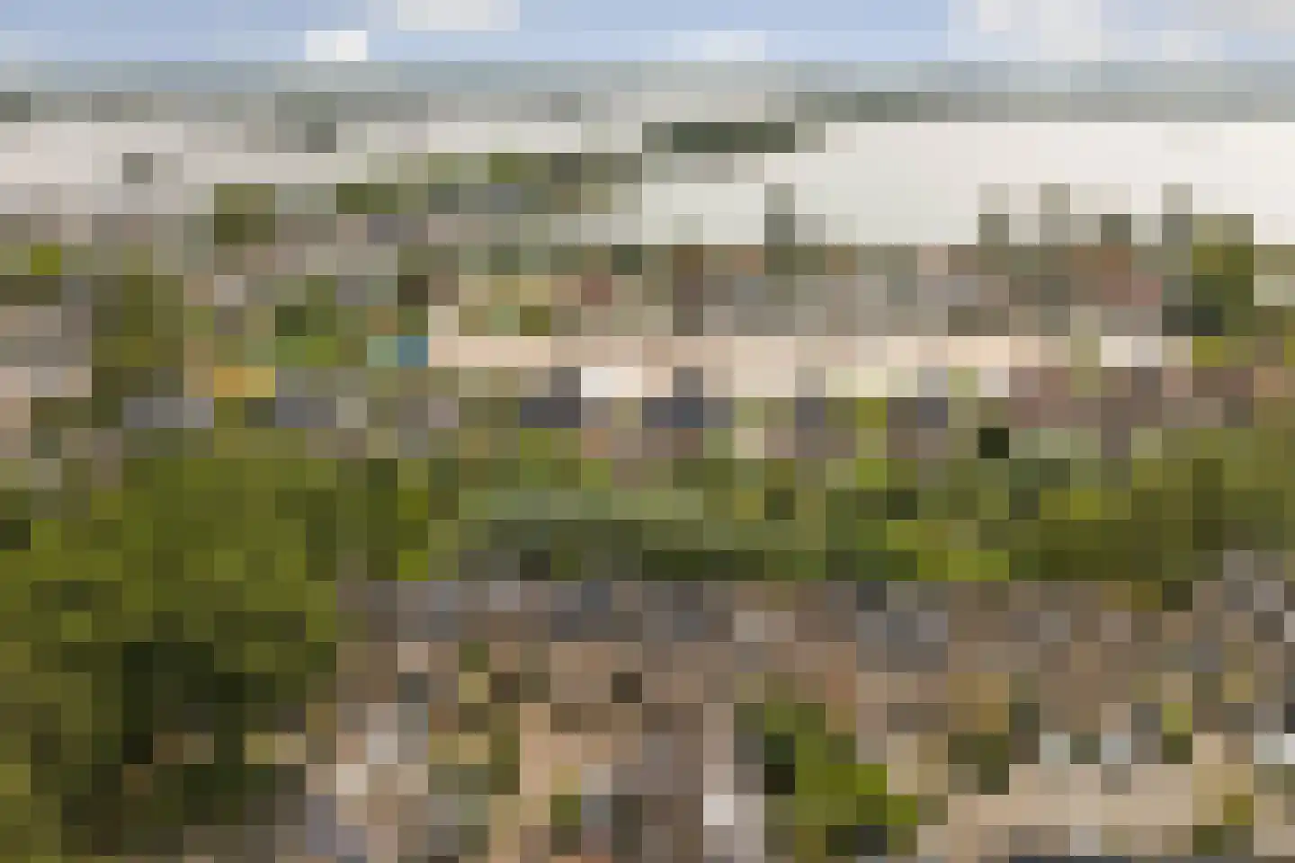 Pluutwerf 12 Gouda thumbnail 41